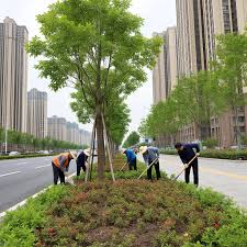 贝博艾佛森 永州市政绿化工程是什么工作